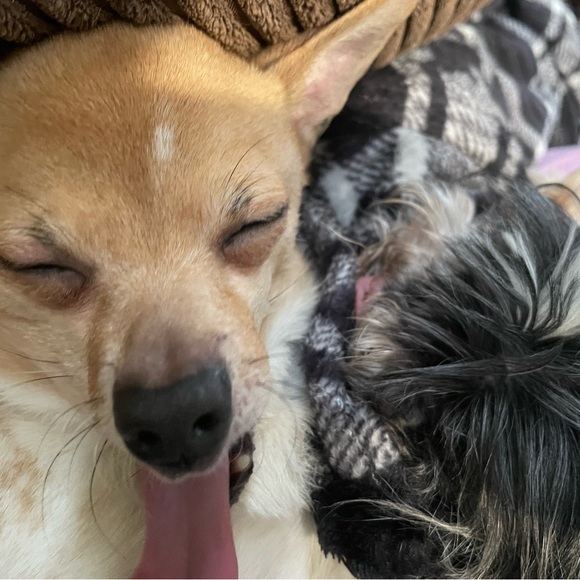 Leah Bobea - Picture 3 of 7